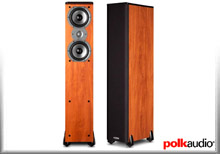 Polk Audio TSI300